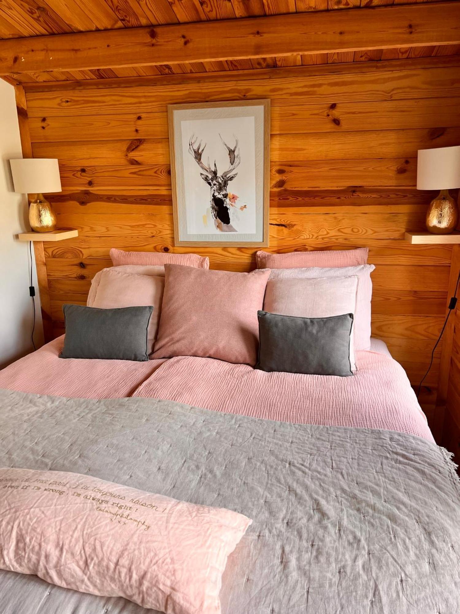 Hygge Lodge Annecy Doussard Zewnętrze zdjęcie
